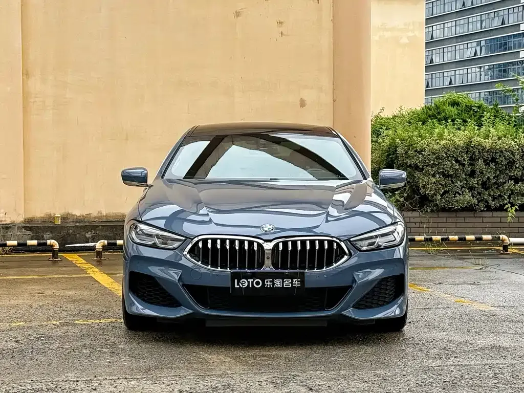 BMW 8 Series 2021 из CN, фото 10