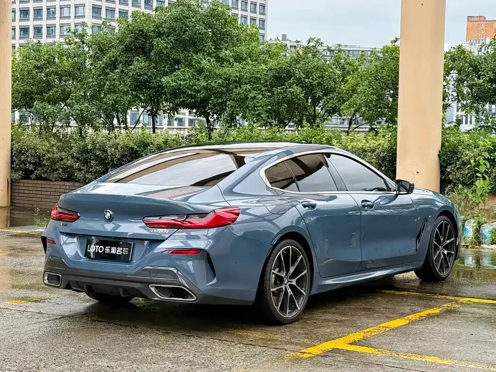 BMW 8 Series 2021 из CN, фото 5