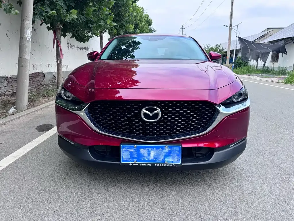 Mazda CX-30 2022 из CN, фото 8