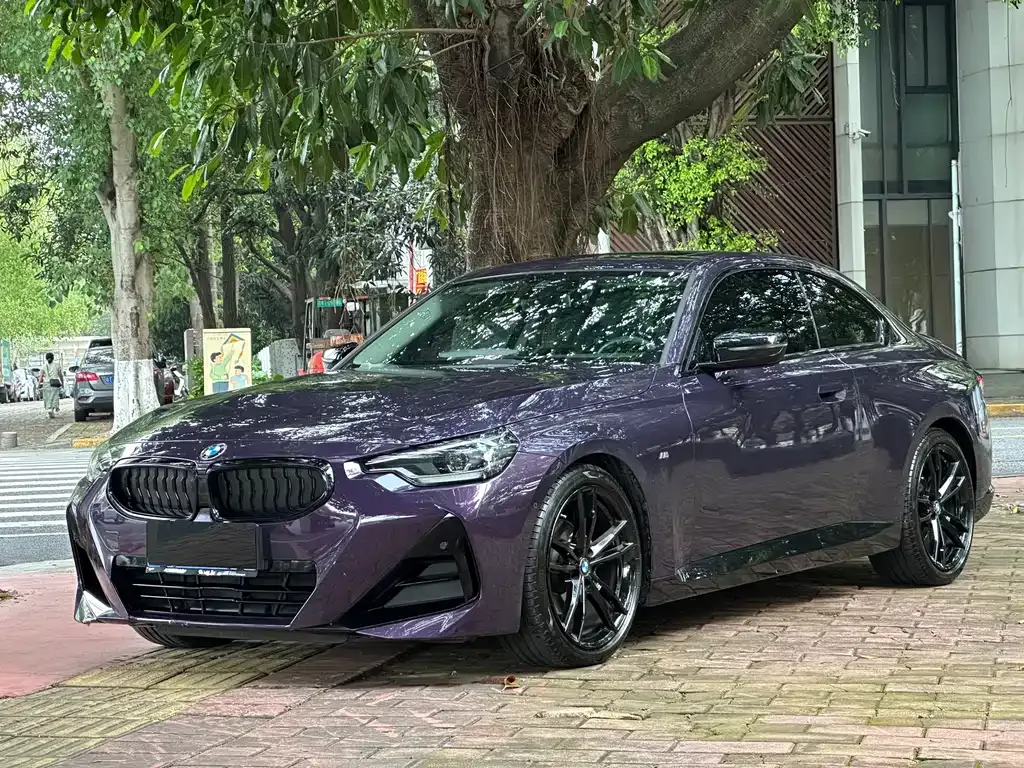 BMW 2 Series (Import)