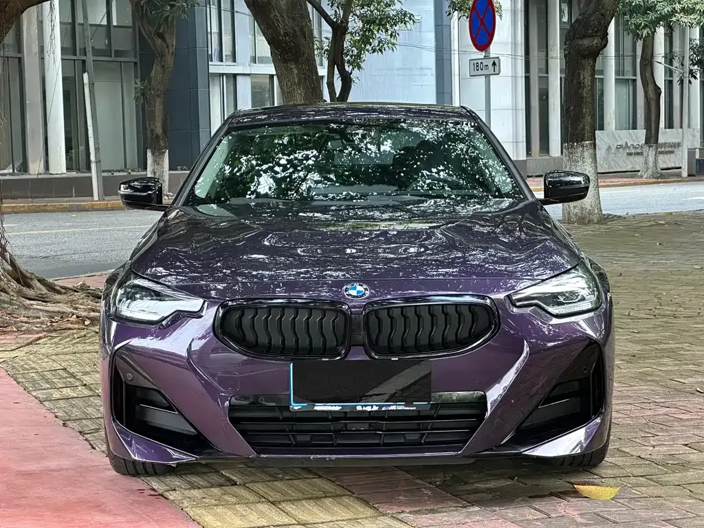 BMW 2 Series (Import) 2025 из CN, фото 9