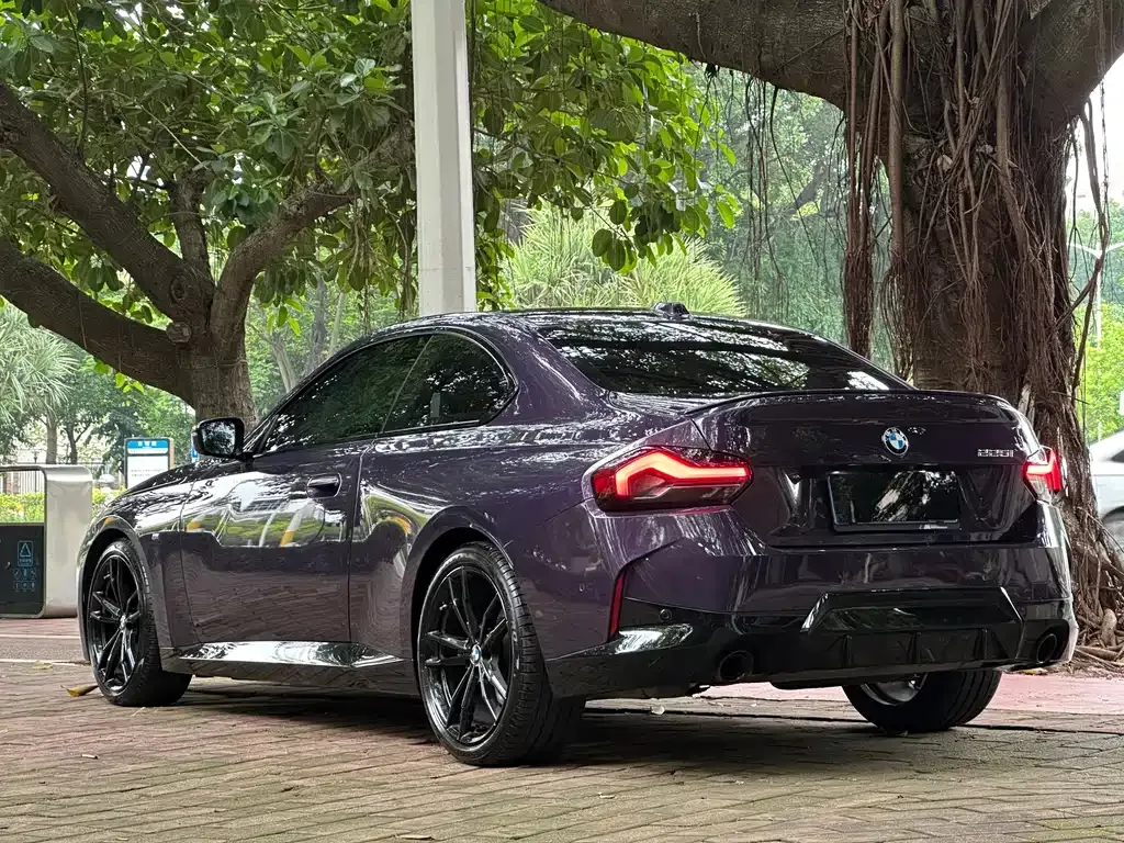 BMW 2 Series (Import) 2025 из CN, фото 6