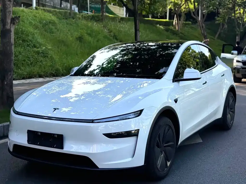 Tesla Model Y — фото 1