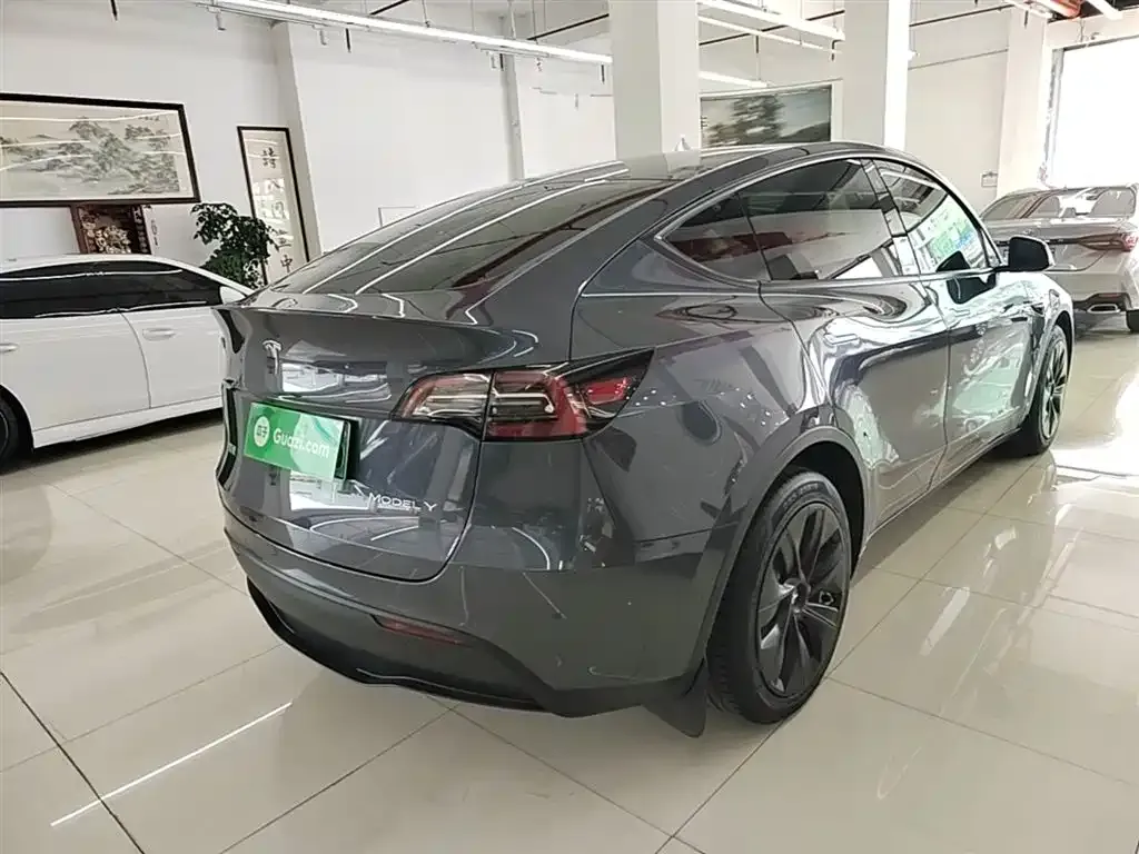 Tesla Model Y — фото 8