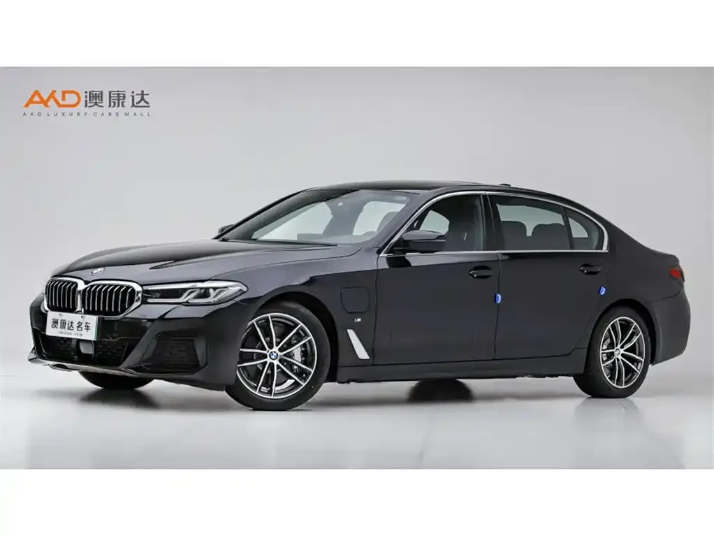 BMW 5 Series New Energy