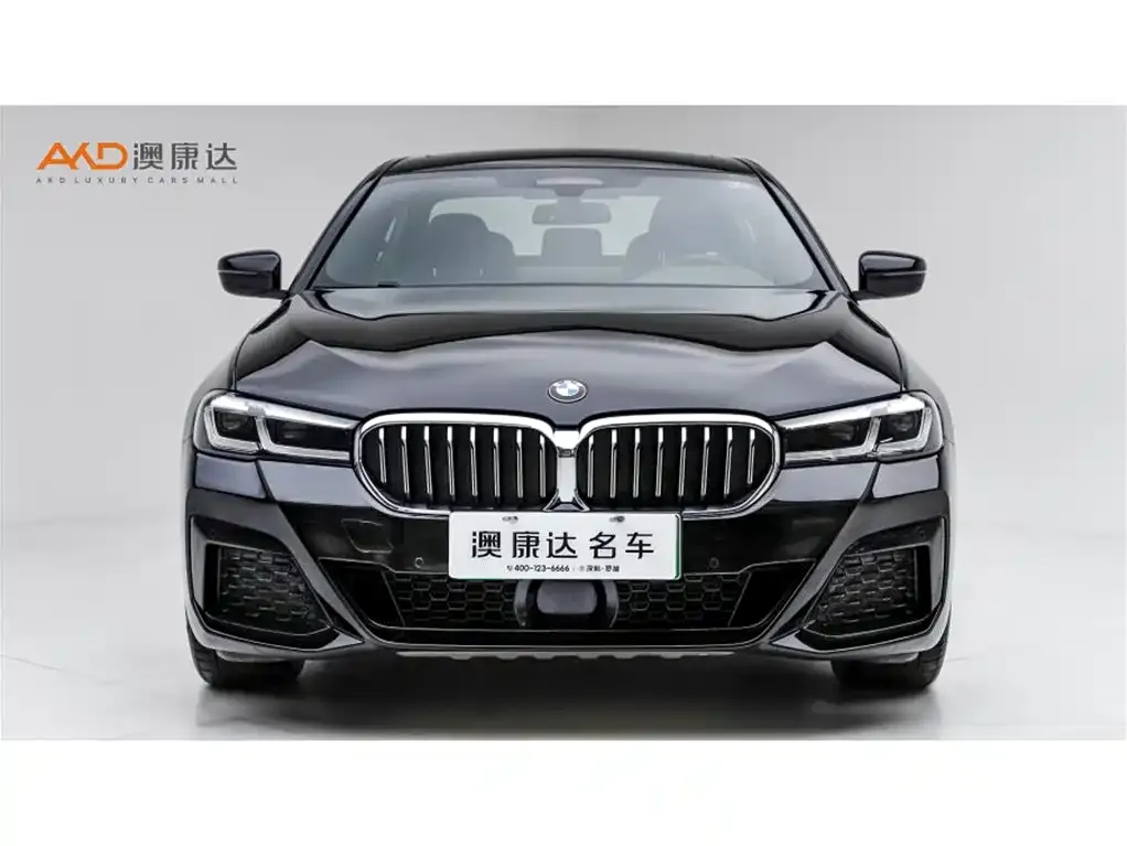 BMW 5 Series New Energy 2021 из CN, фото 7