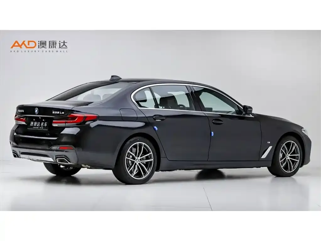 BMW 5 Series New Energy 2021 из CN, фото 6