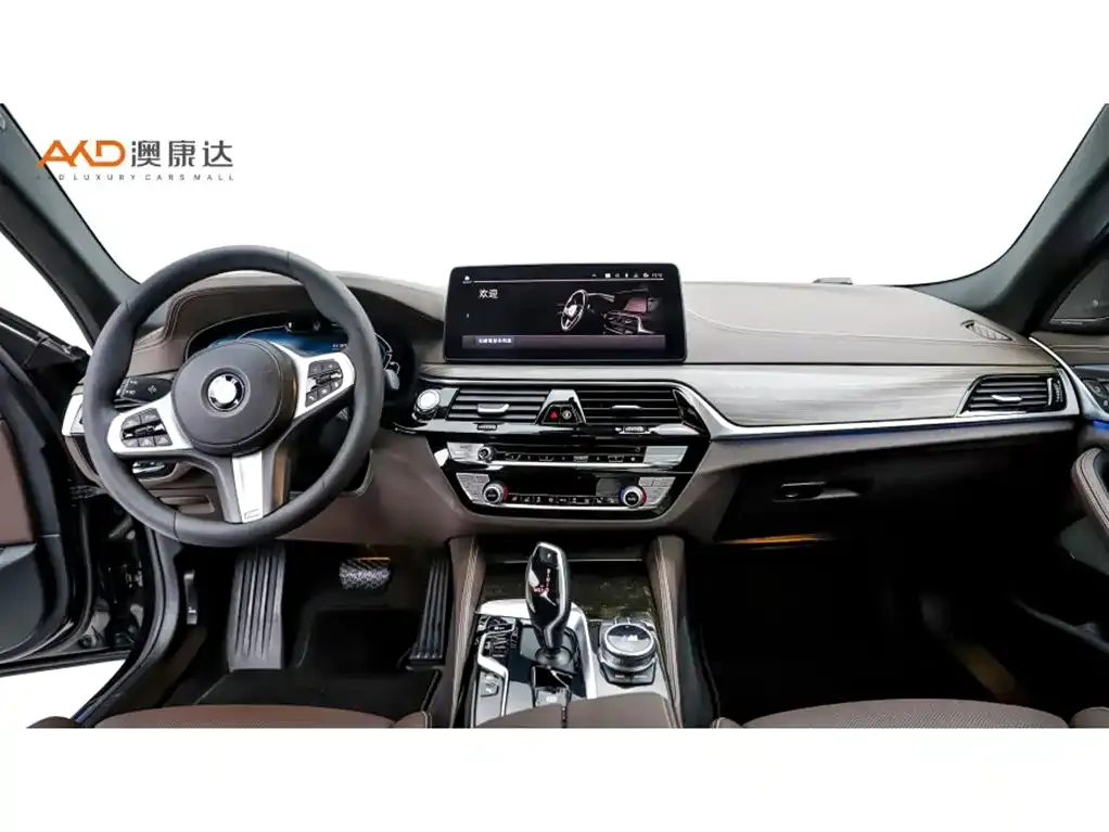 BMW 5 Series New Energy 2021 из CN, фото 10