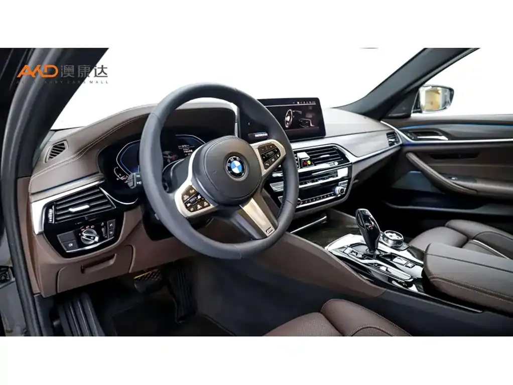 BMW 5 Series New Energy 2021 из CN, фото 5