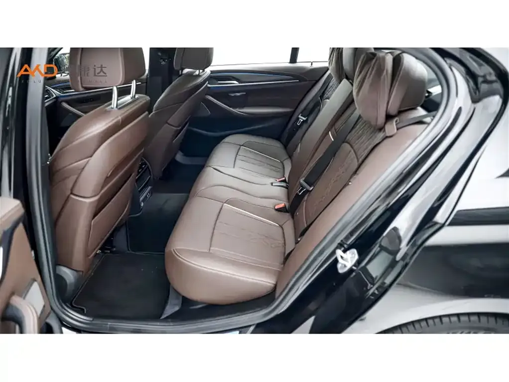 BMW 5 Series New Energy 2021 из CN, фото 8