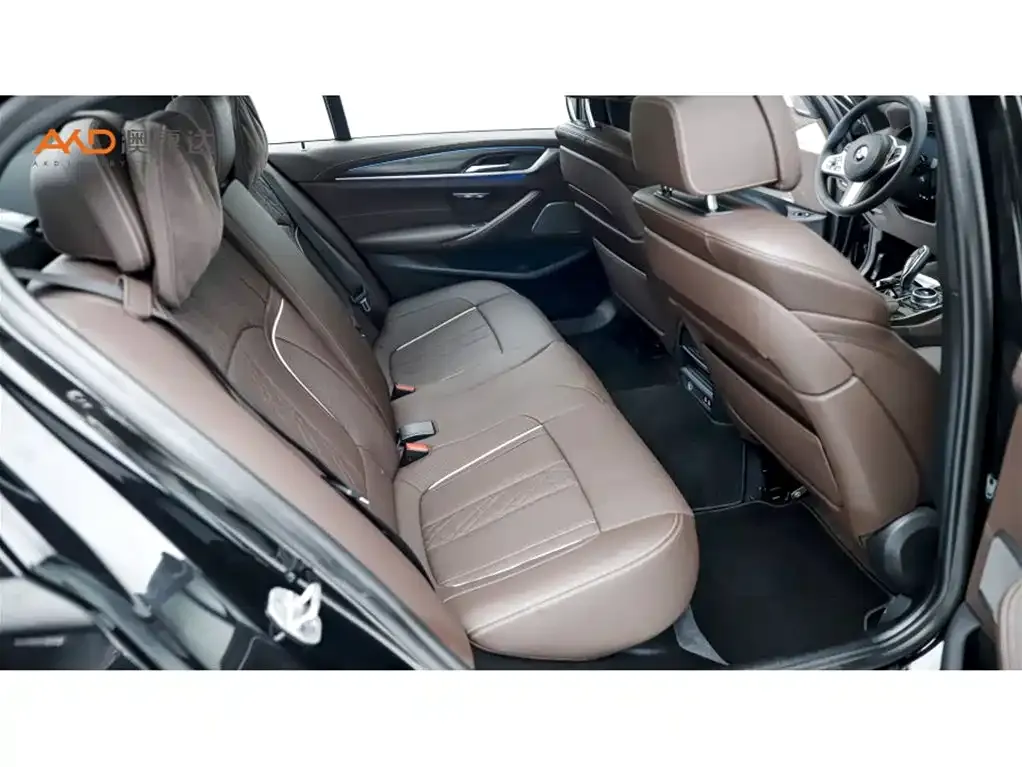 BMW 5 Series New Energy 2021 из CN, фото 4
