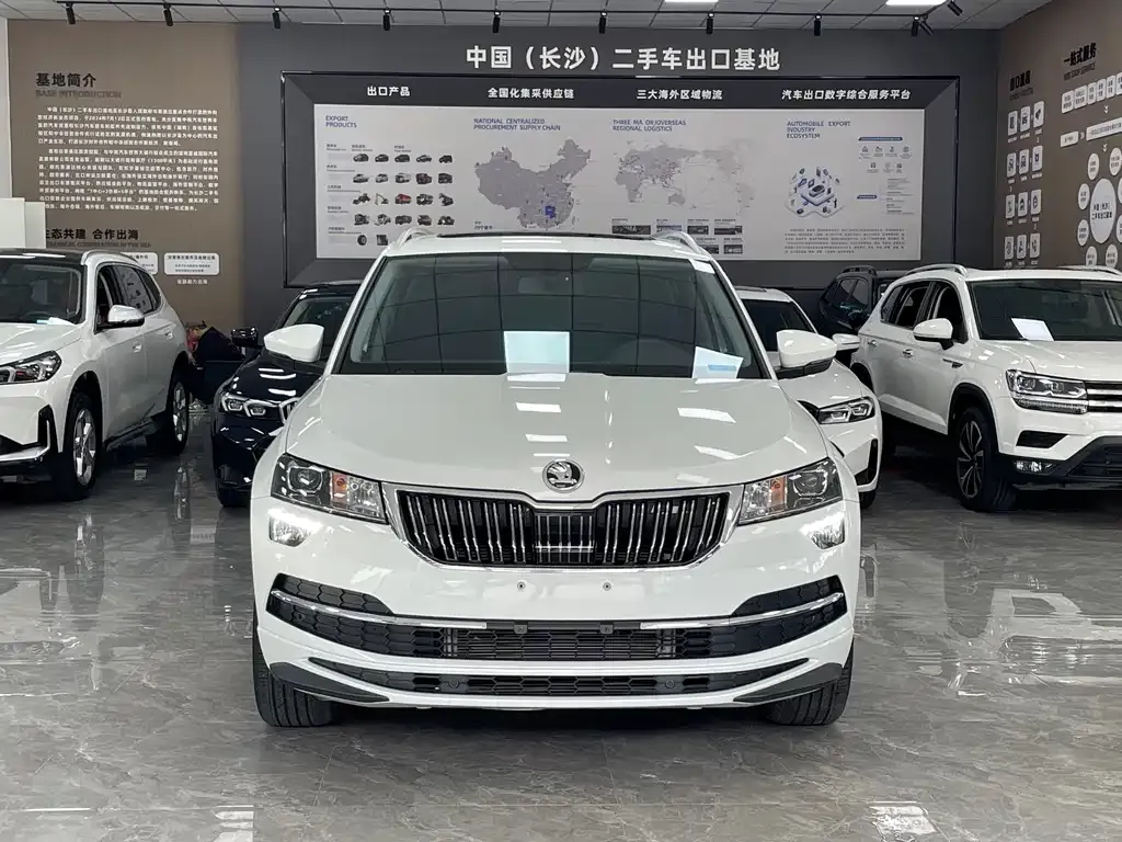 Skoda Karoq — фото 7