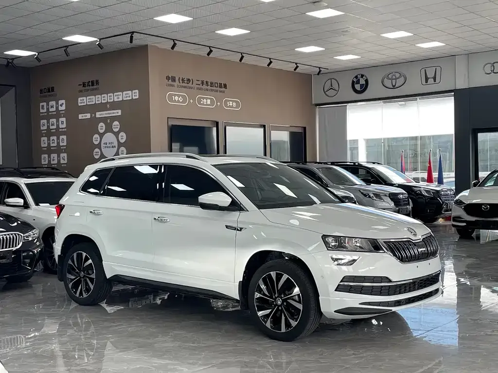 Skoda Karoq — фото 6