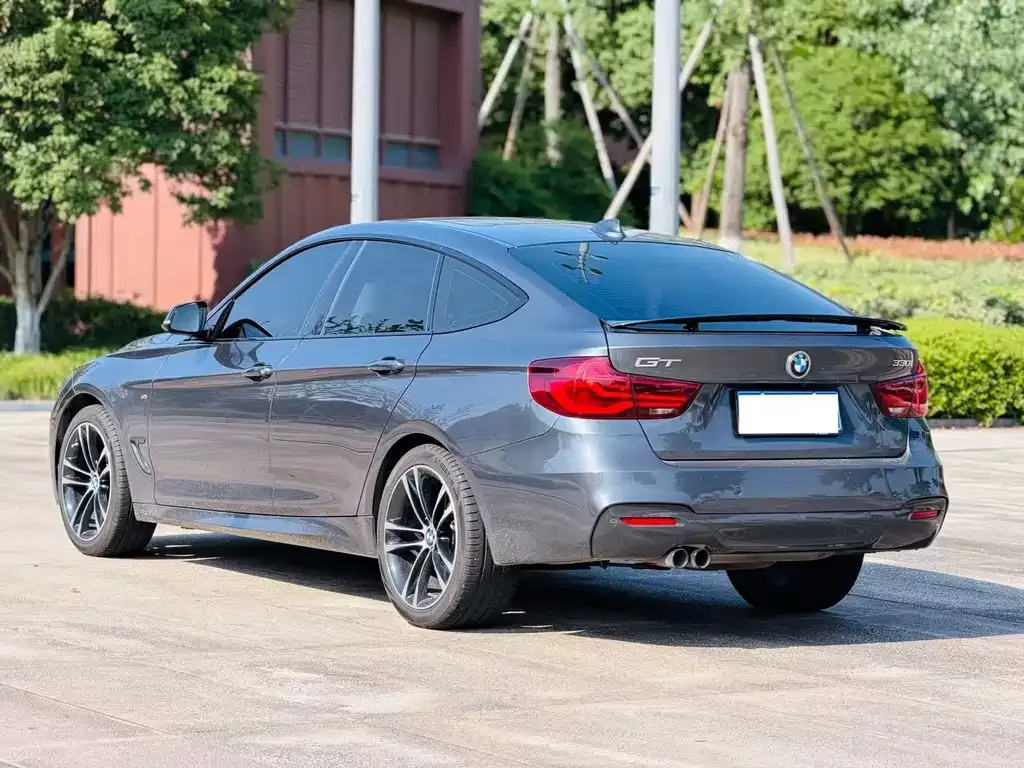 BMW 3 Series GT 2021 из CN, фото 8