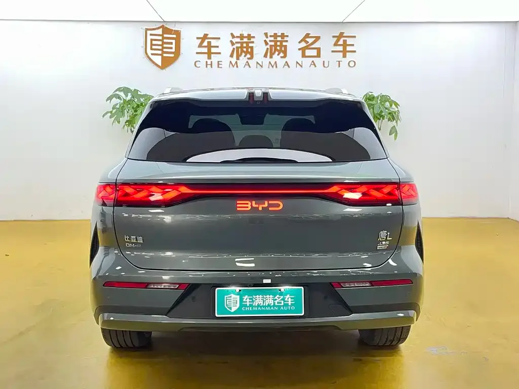 BYD Tang L 2025 из CN, фото 2