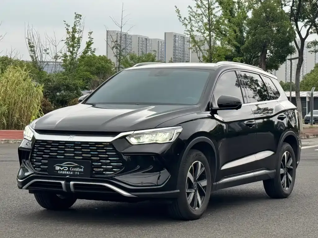 BYD Pro New Energy