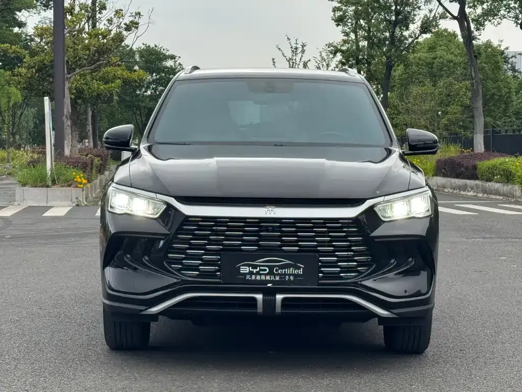 BYD Pro New Energy 2024 из CN, фото 8