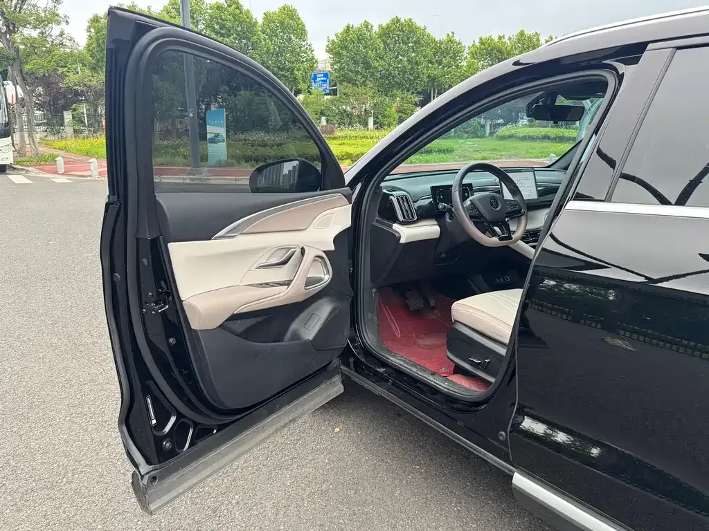BYD Pro New Energy 2024 из CN, фото 9