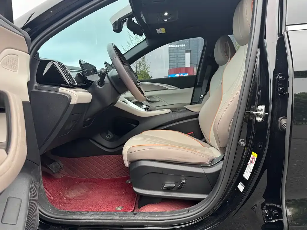 BYD Pro New Energy 2024 из CN, фото 2