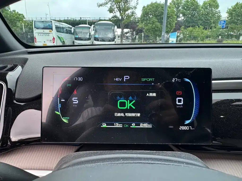 BYD Pro New Energy 2024 из CN, фото 10