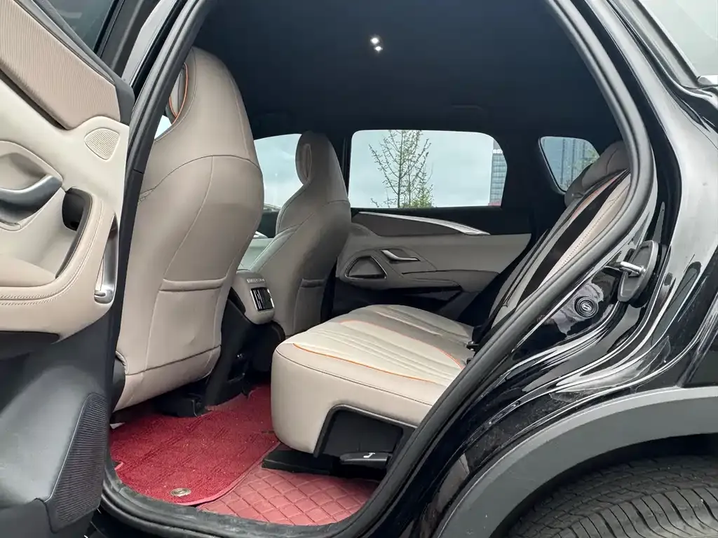BYD Pro New Energy 2024 из CN, фото 6