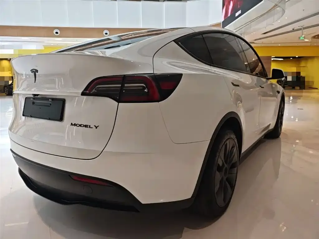 Tesla Model Y — фото 9