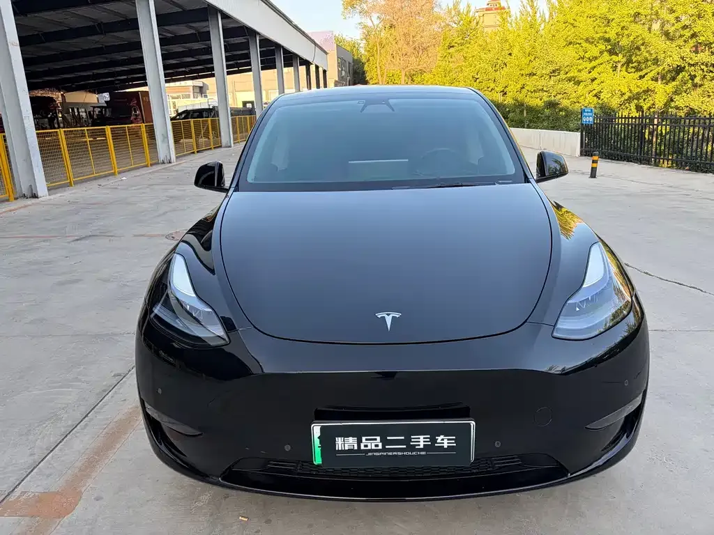 Tesla Model Y — фото 4