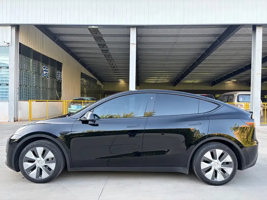Tesla Model Y — фото 6