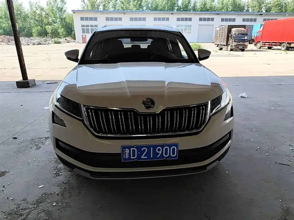Skoda Kodiaq 2021 из CN, фото 6