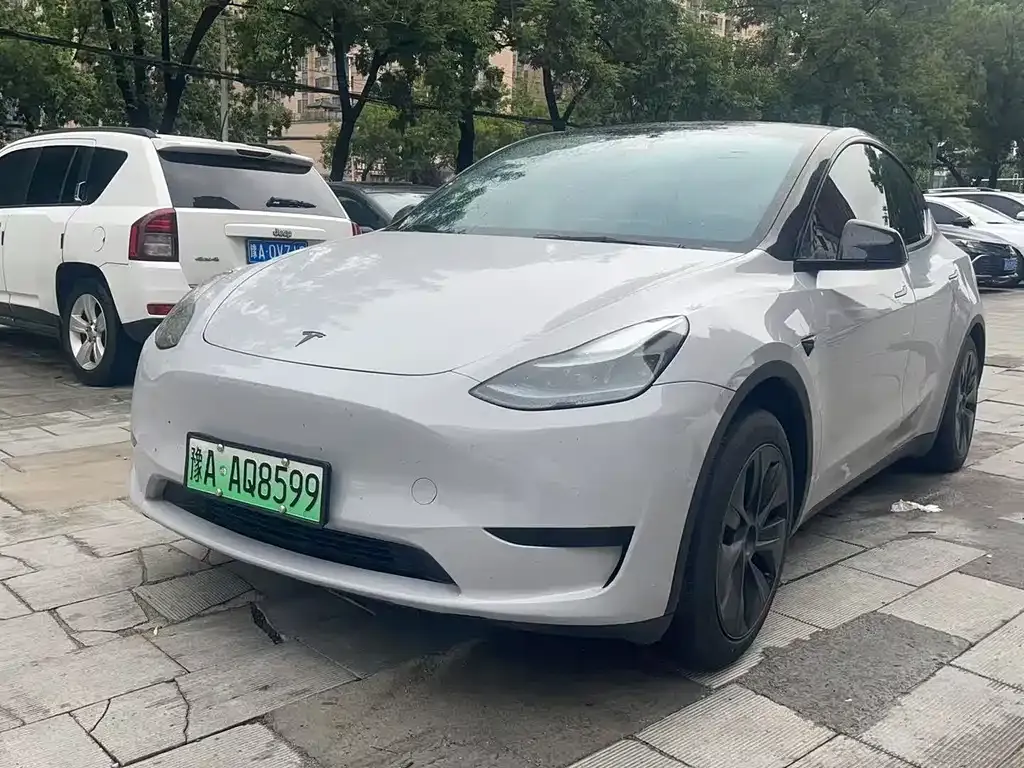 Tesla Model Y — фото 1