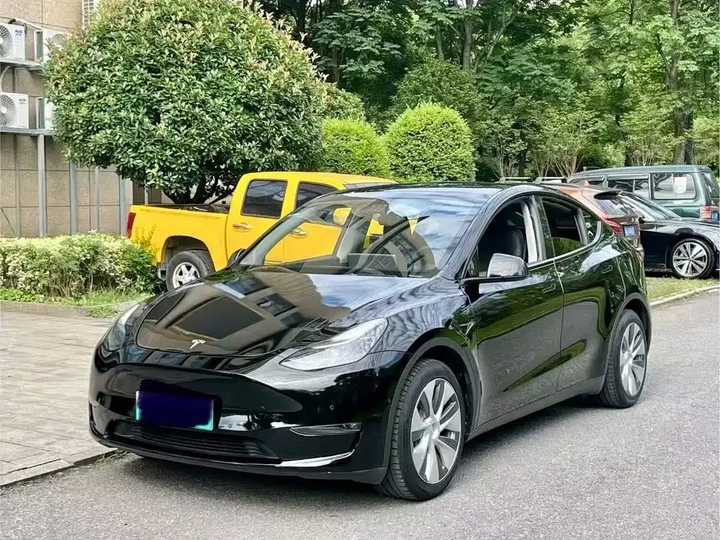 Tesla Model Y — фото 1