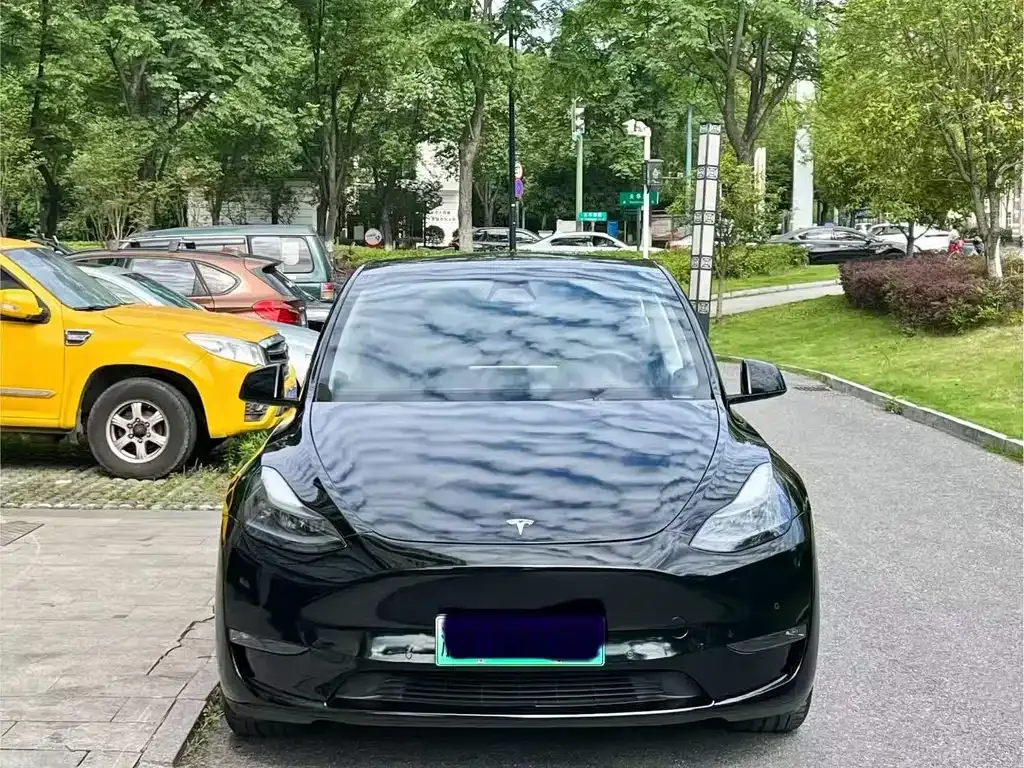 Tesla Model Y — фото 9