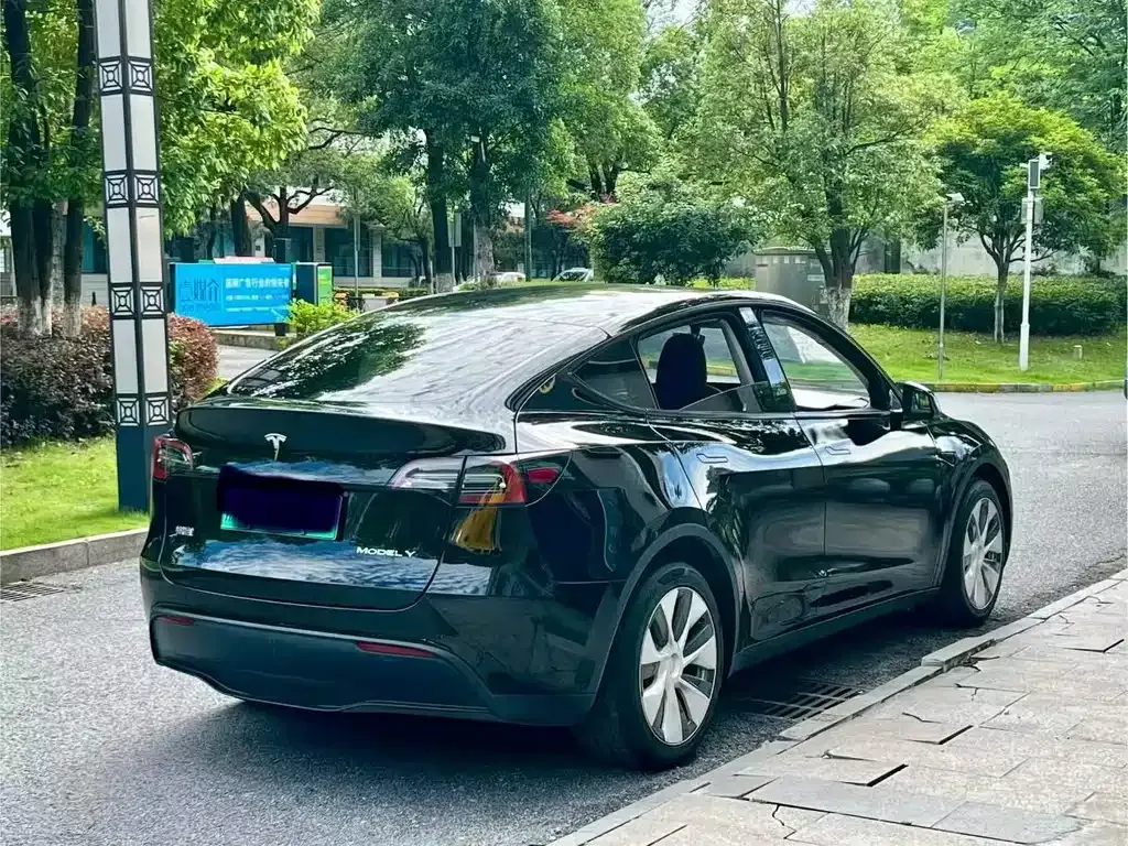 Tesla Model Y — фото 2