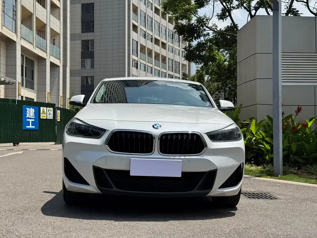 BMW X2 2023 из CN, фото 3