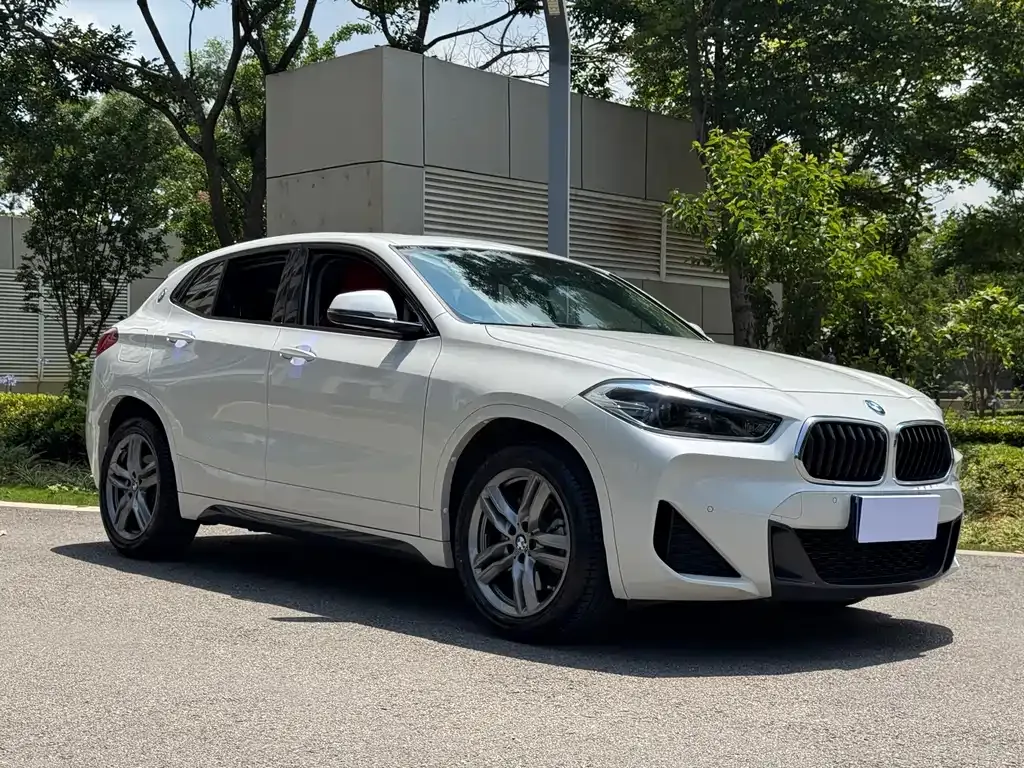 BMW X2 2023 из CN, фото 9