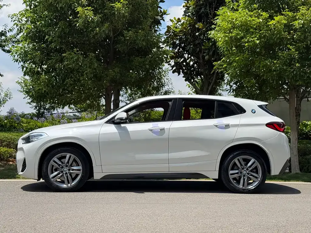 BMW X2 2023 из CN, фото 5