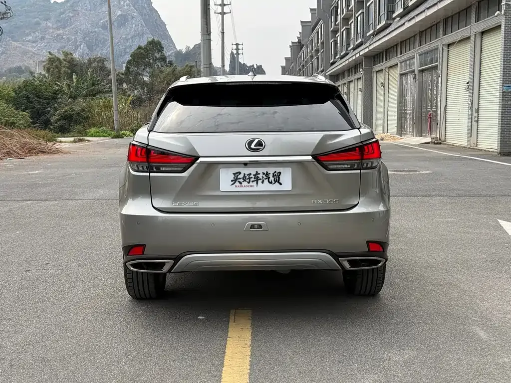 Lexus RX — фото 10