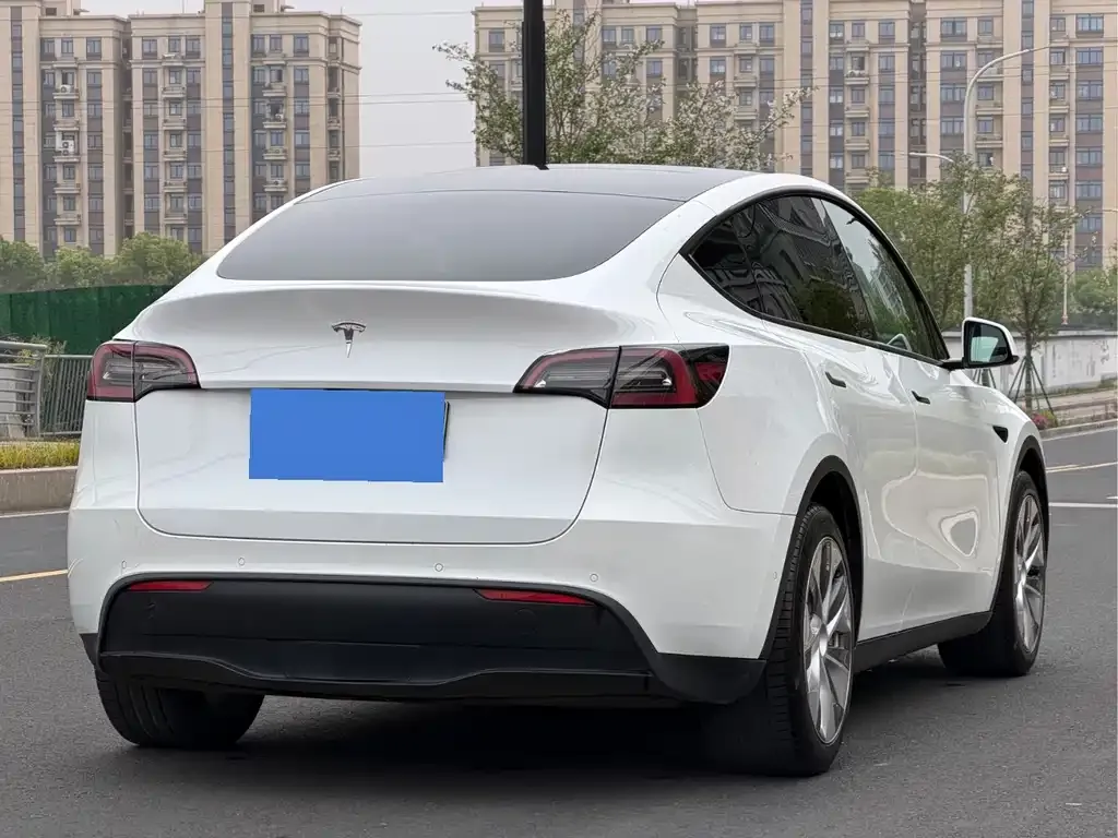 Tesla Model Y 2021 из CN, фото 3