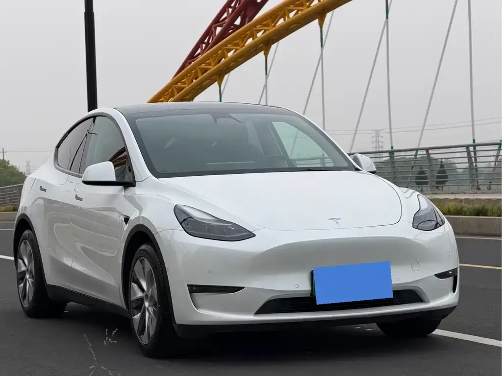 Tesla Model Y 2021 из CN, фото 6