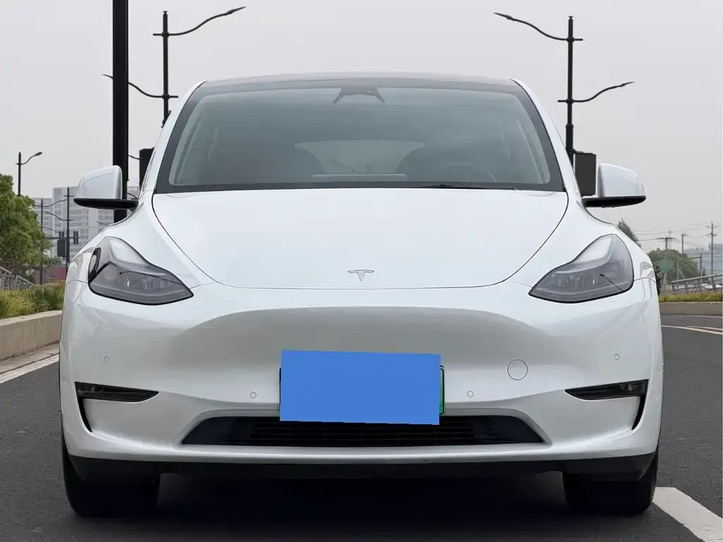 Tesla Model Y 2021 из CN, фото 2