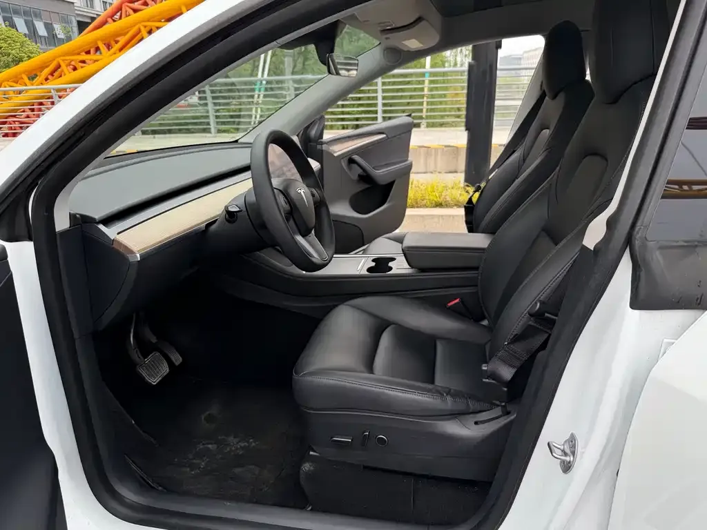 Tesla Model Y 2021 из CN, фото 8