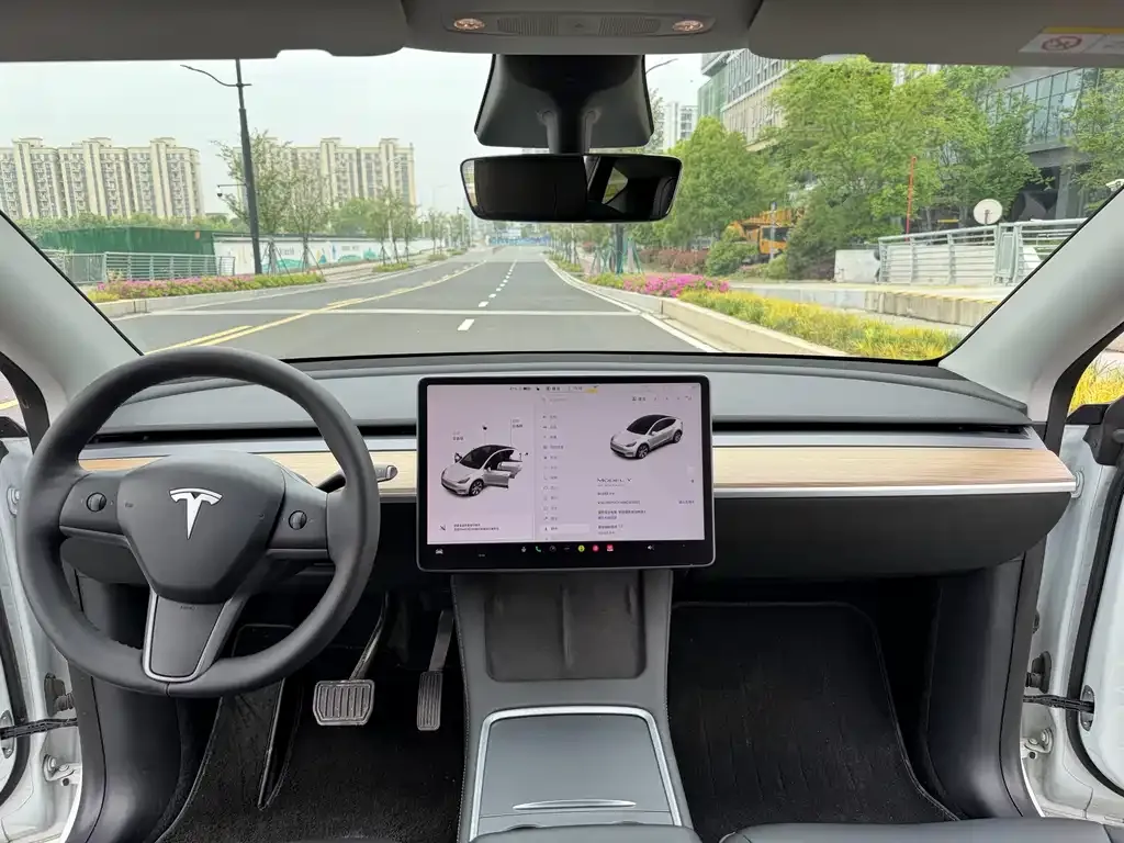Tesla Model Y 2021 из CN, фото 9