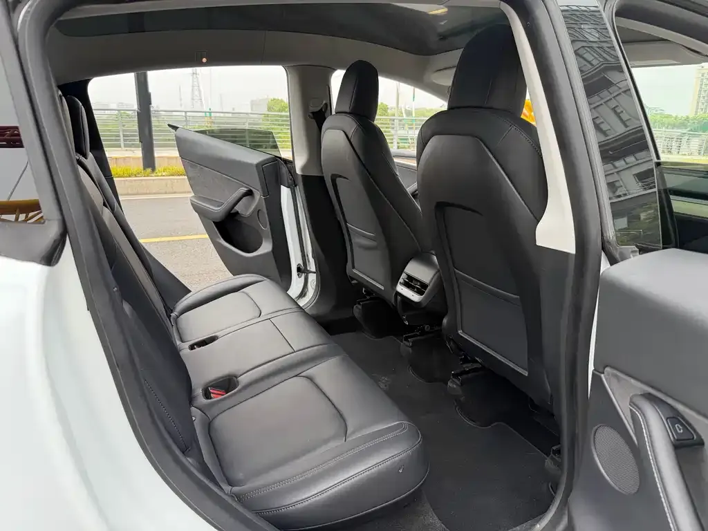 Tesla Model Y 2021 из CN, фото 4