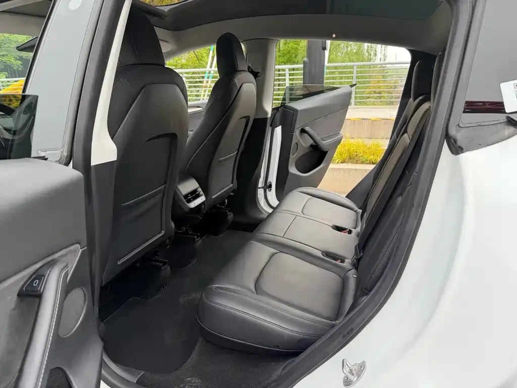 Tesla Model Y 2021 из CN, фото 5