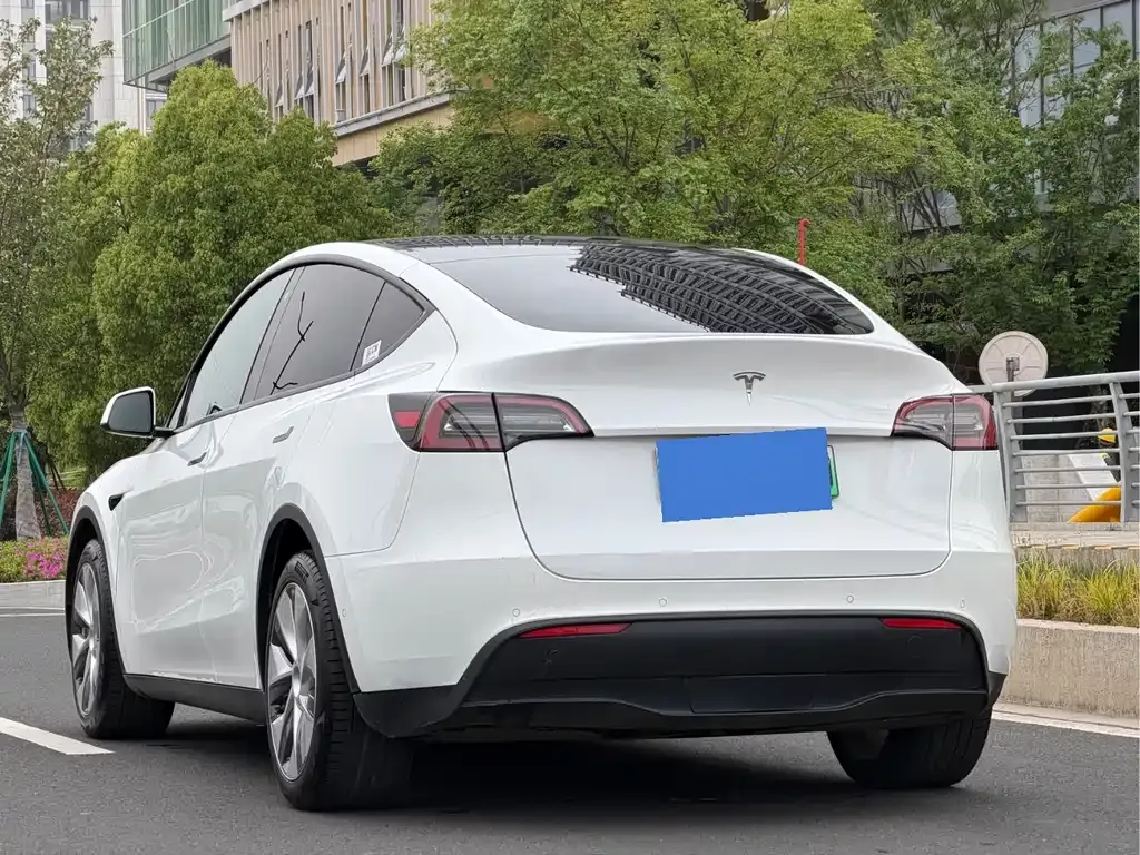 Tesla Model Y 2021 из CN, фото 10