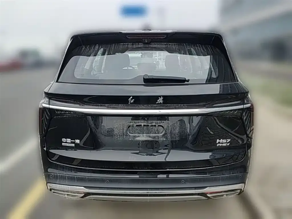 Hongqi HS7 PHEV 2024 из CN, фото 7