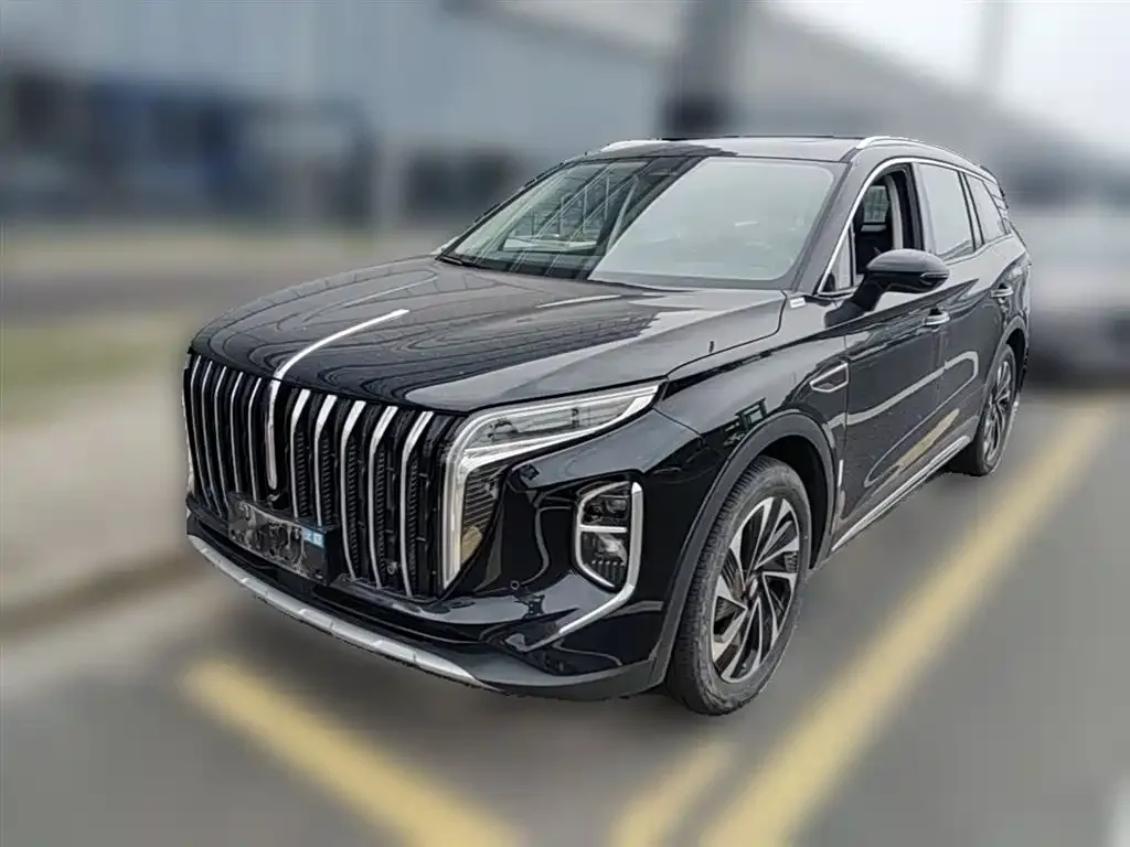 Hongqi HS7 PHEV 2024 из CN, фото 9