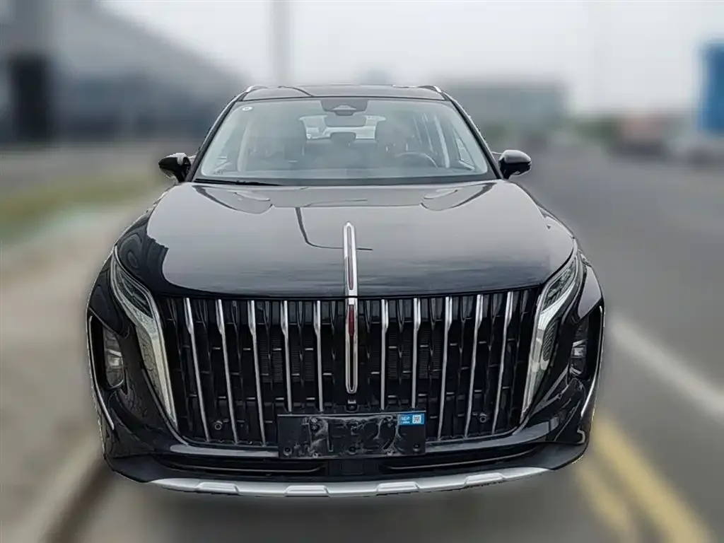Hongqi HS7 PHEV 2024 из CN, фото 4