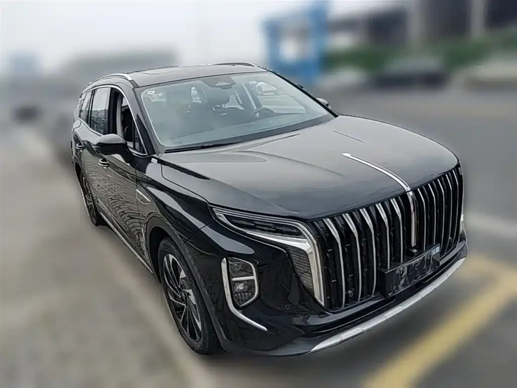 Hongqi HS7 PHEV 2024 из CN, фото 8