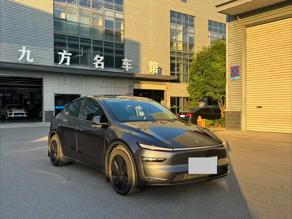 Tesla Model Y — фото 6